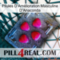 Anaconda Male Enhancement Pills 13